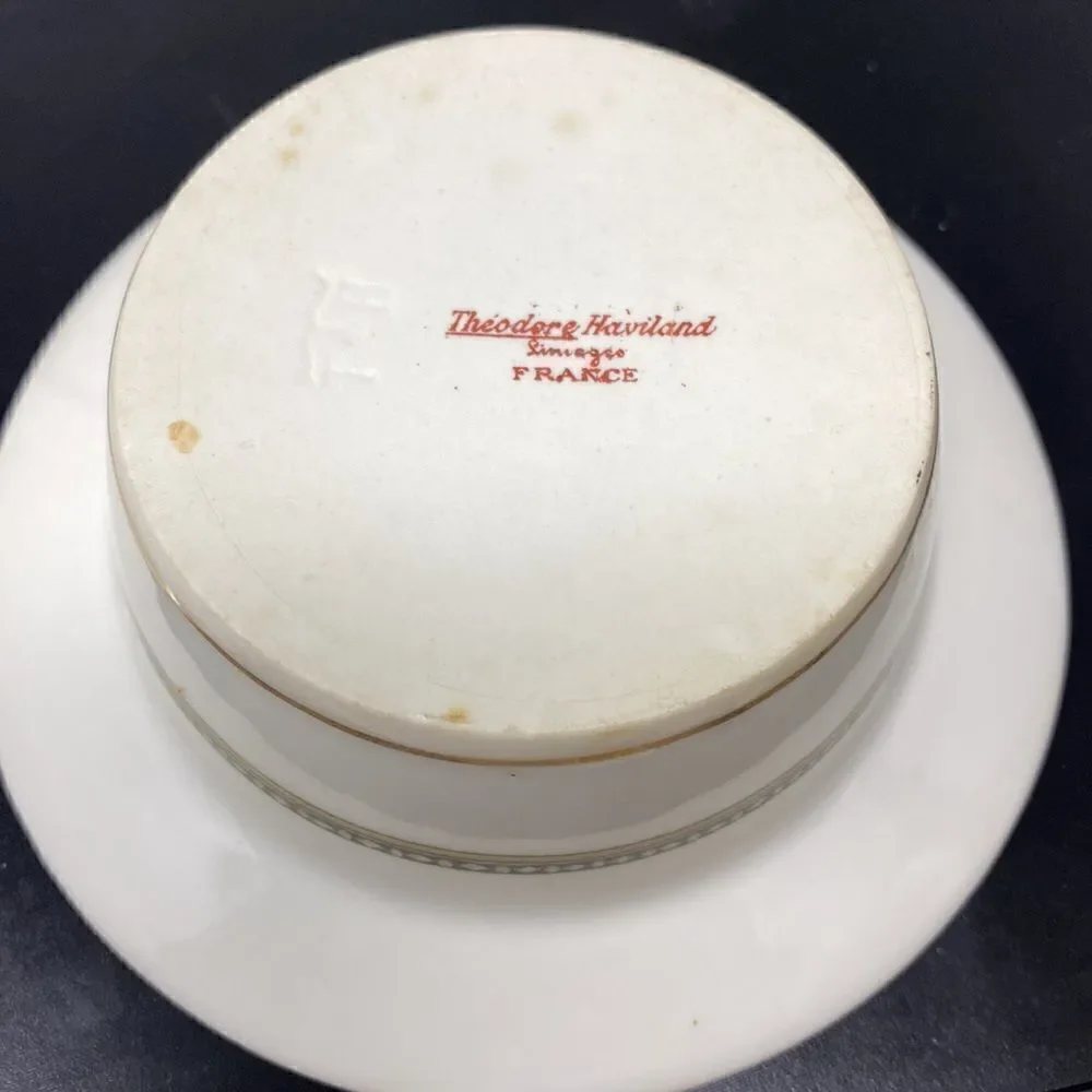 Theodore Haviland Limoges France Saucer & Custard Cup.  2 Piece Set.
